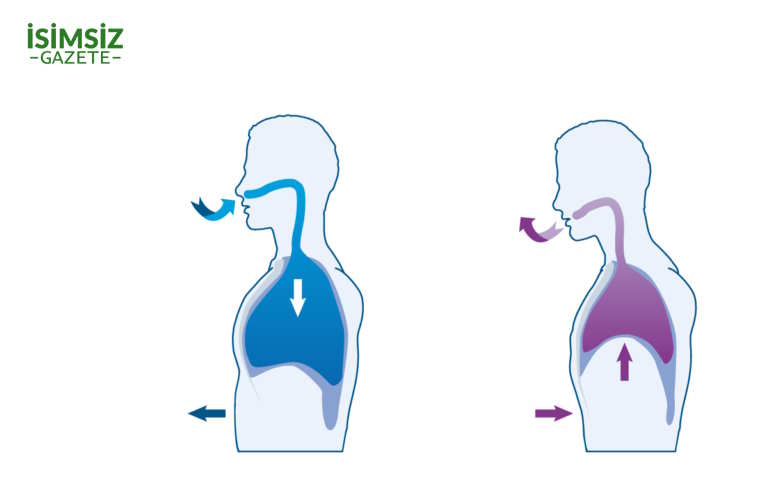 Doğru nefes egzersizleri nasıl yapılır? Nefes egzersizleri ne işe yarar?