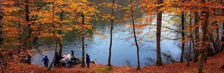 Sonbaharda nereye gidilir sorusunun en etkileyici cevaplarından biri Yedigöller Milli Parkı